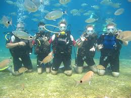 &Ouml;l&uuml;deniz T&uuml;pl&uuml; Dalış Turu