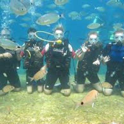 &Ouml;l&uuml;deniz T&uuml;pl&uuml; Dalış Turu